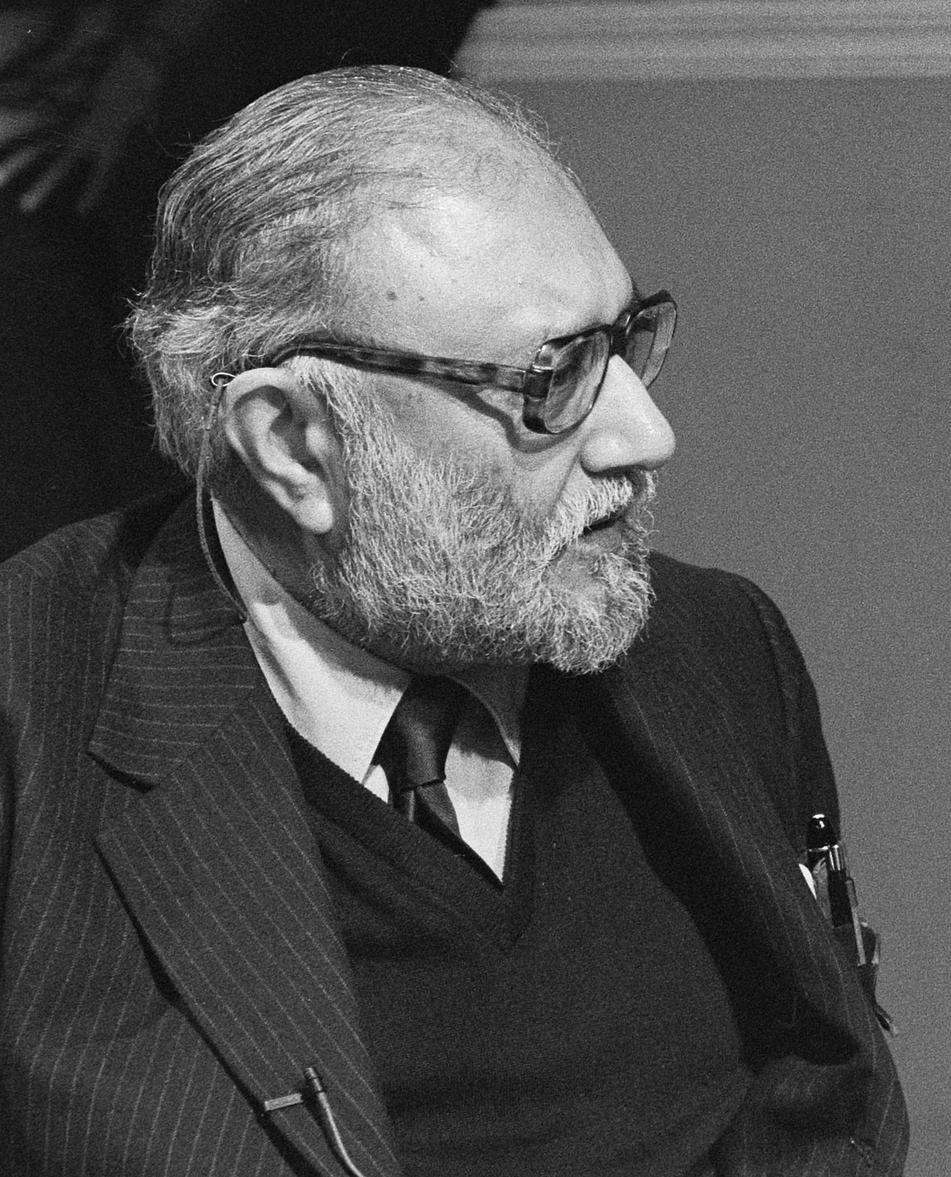Abdus Salam photo