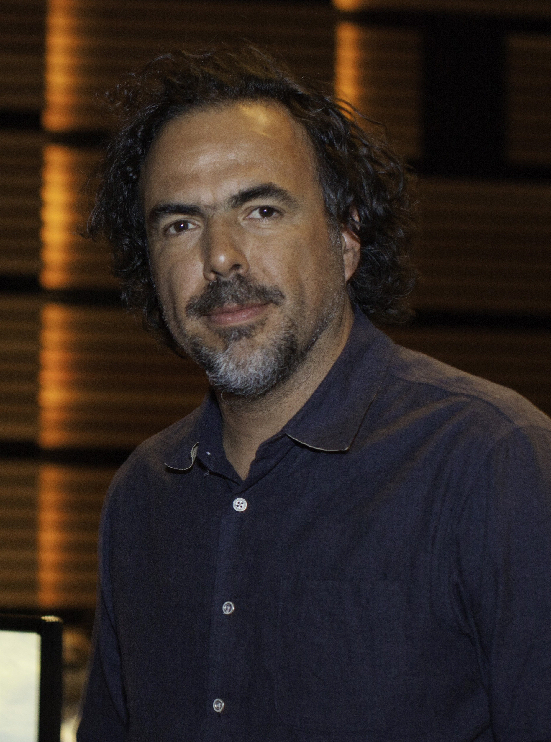 Alejandro González Inárritu photo