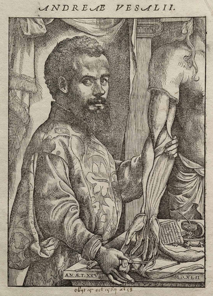 Andreas Vesalius photo