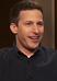 Andy Samberg photo