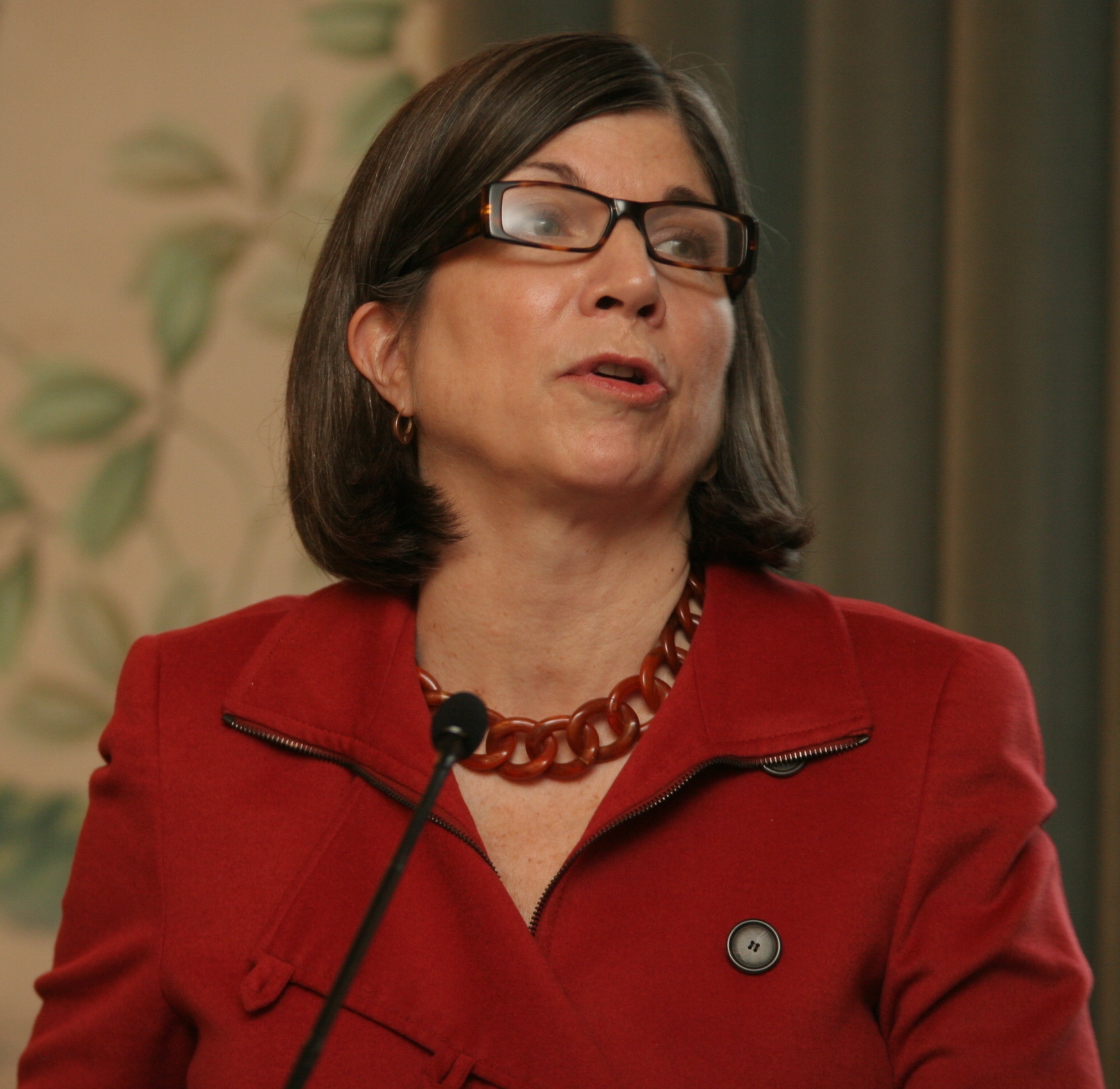 Anna Quindlen photo