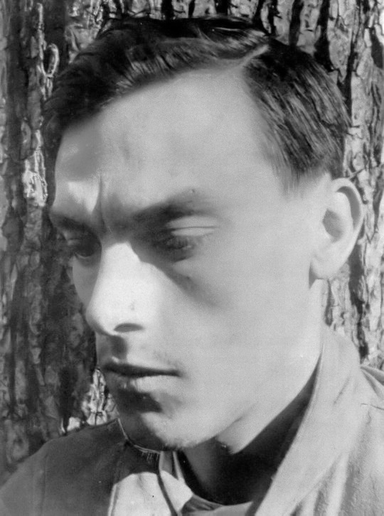 Arseny Tarkovsky photo