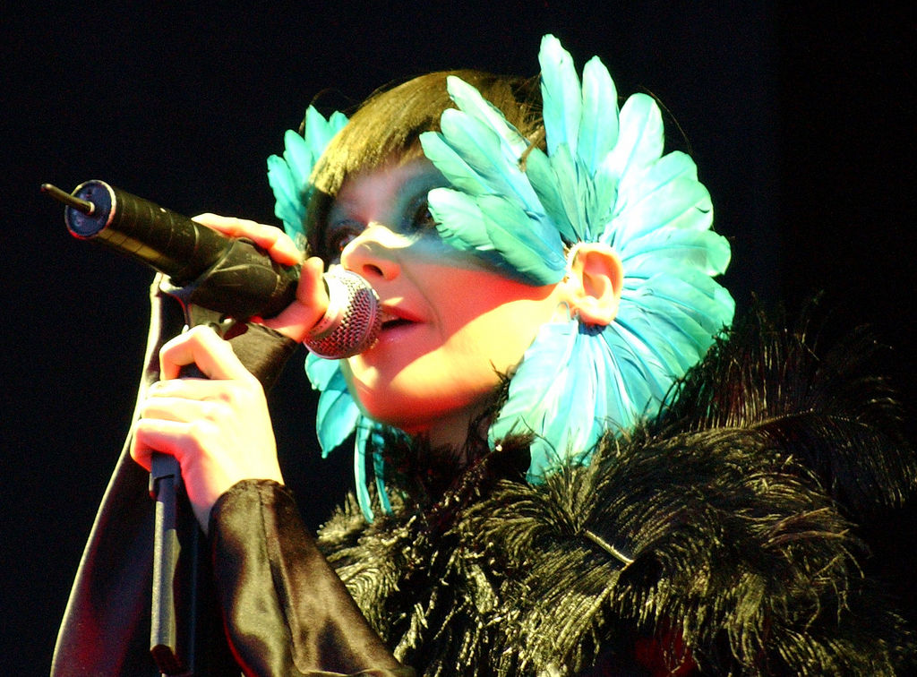 Björk photo