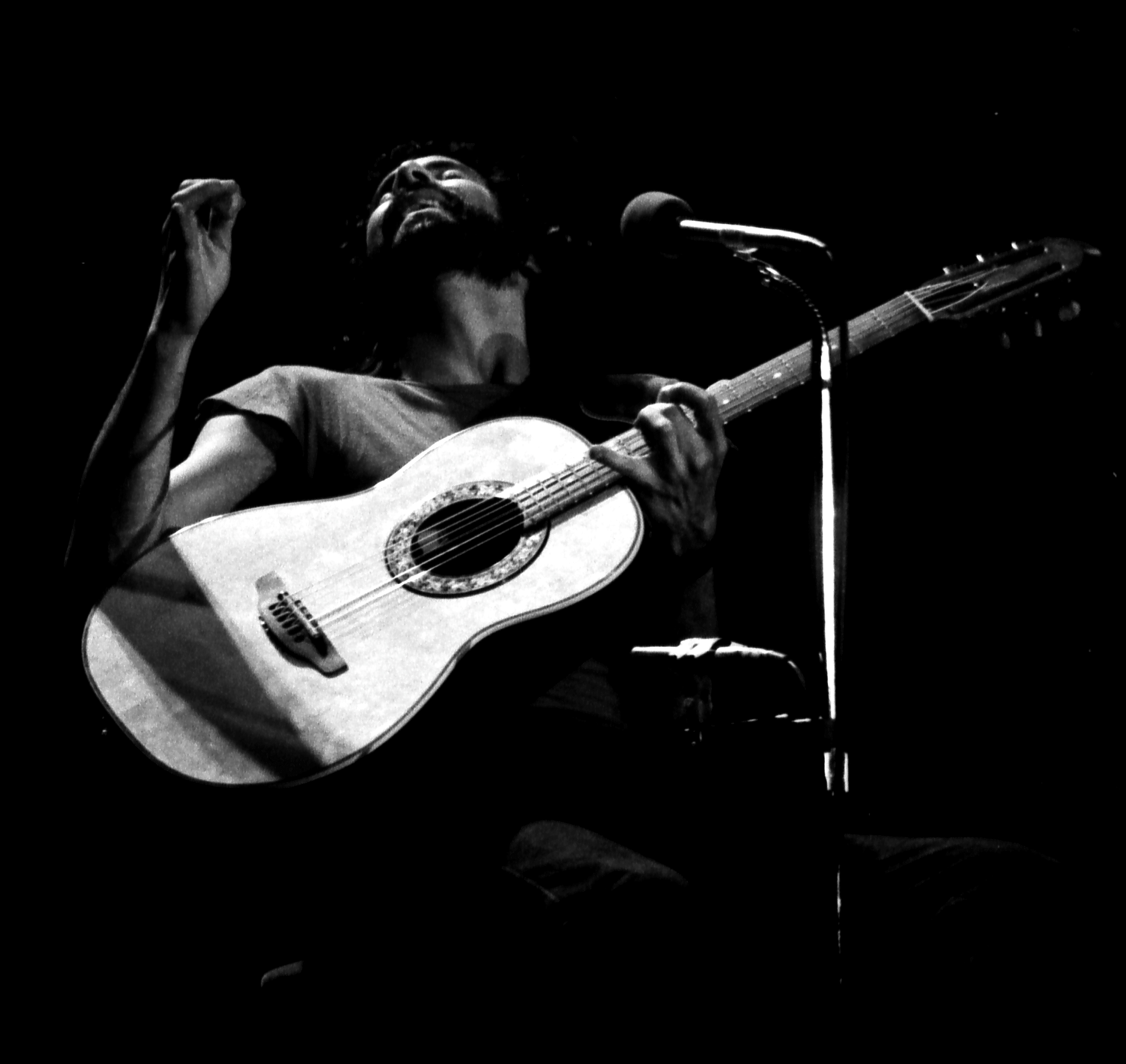 Yusuf Islam photo