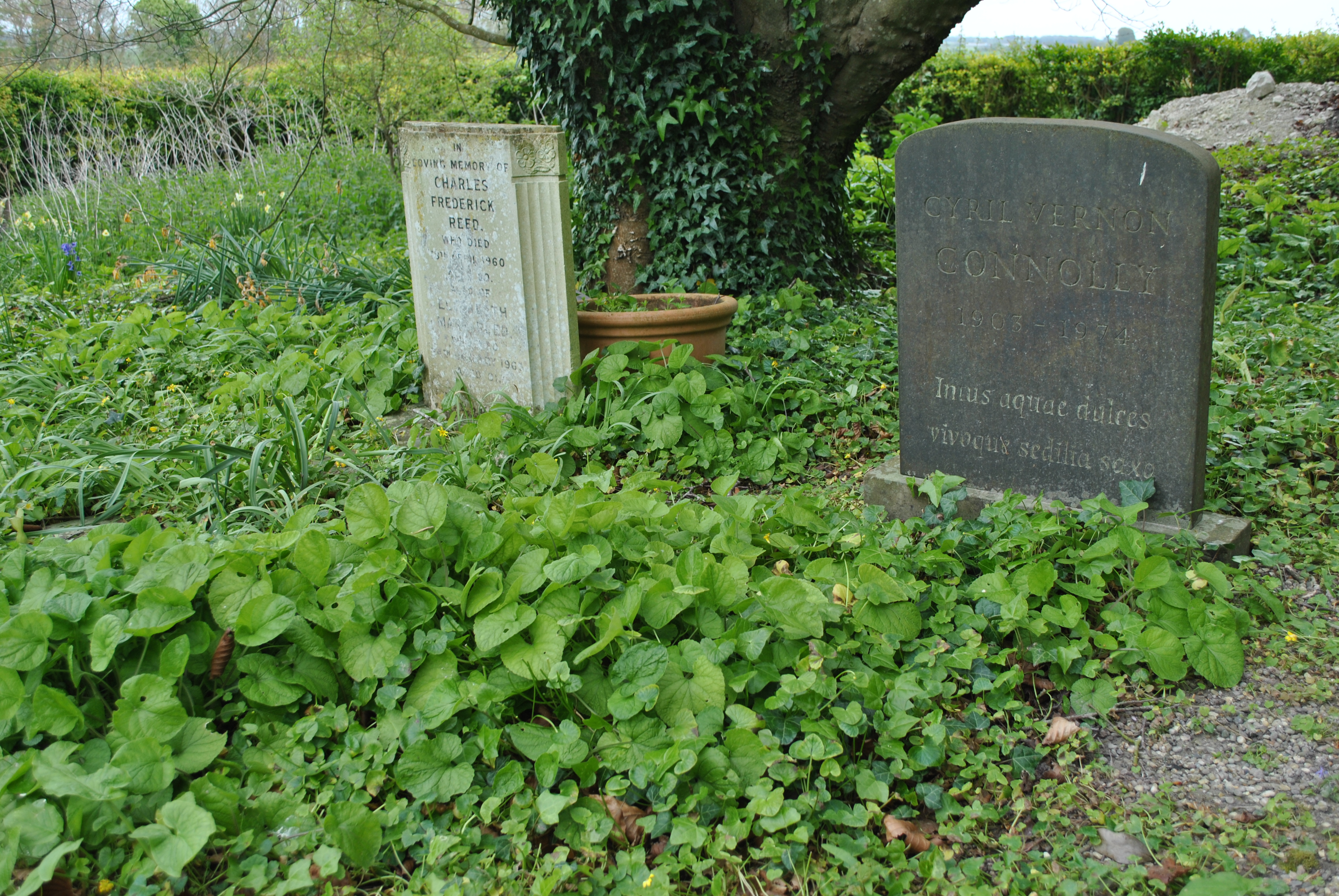 Cyril Connolly photo