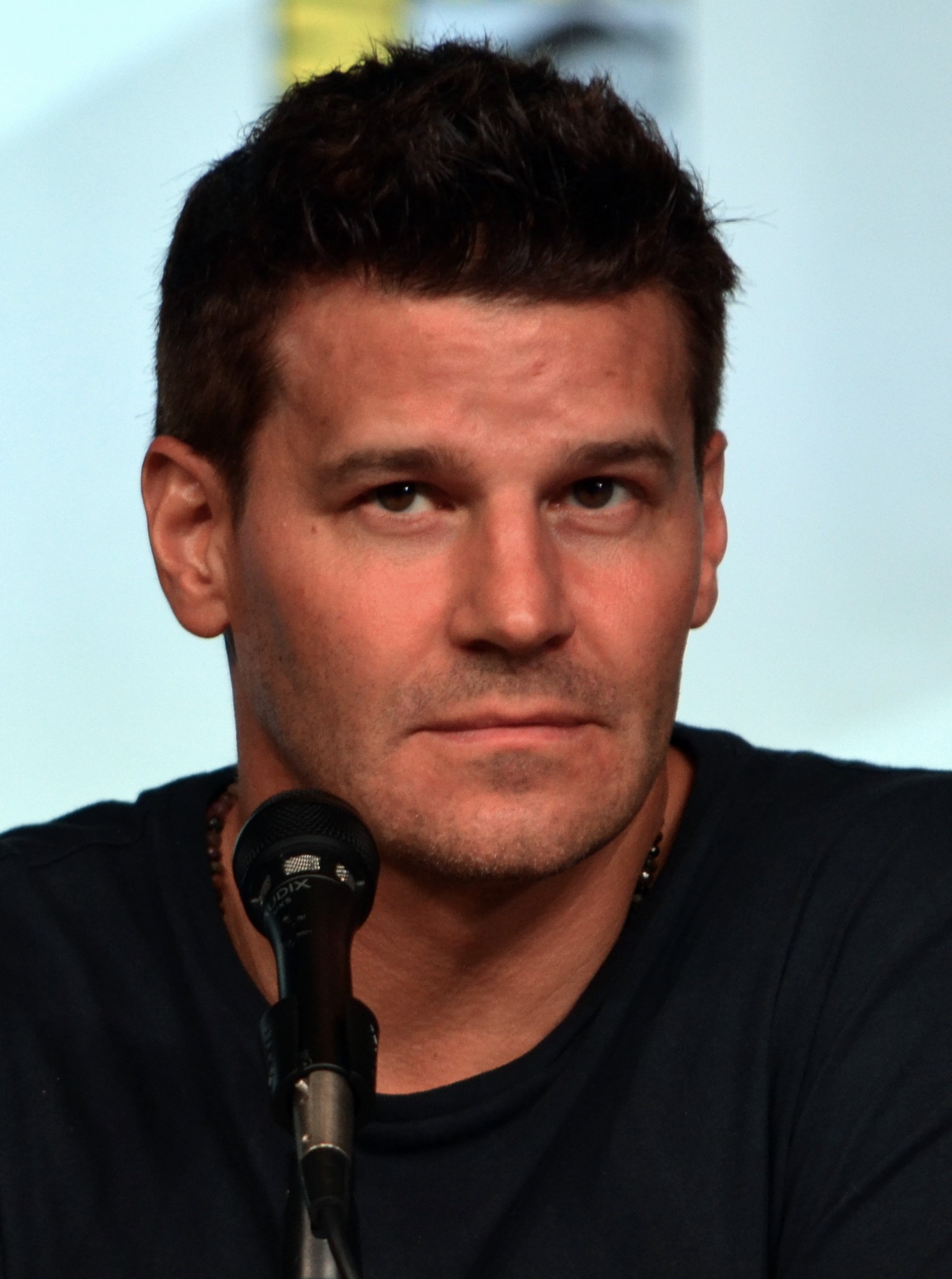 David Boreanaz photo