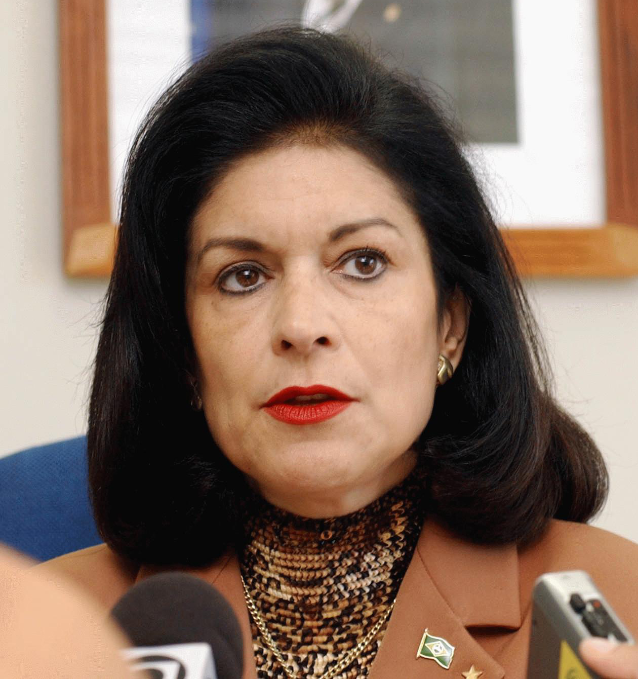 Emília Fernandes photo