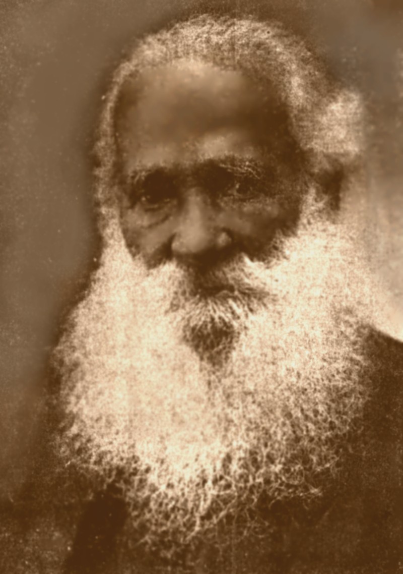 Ernesto Carneiro Ribeiro photo