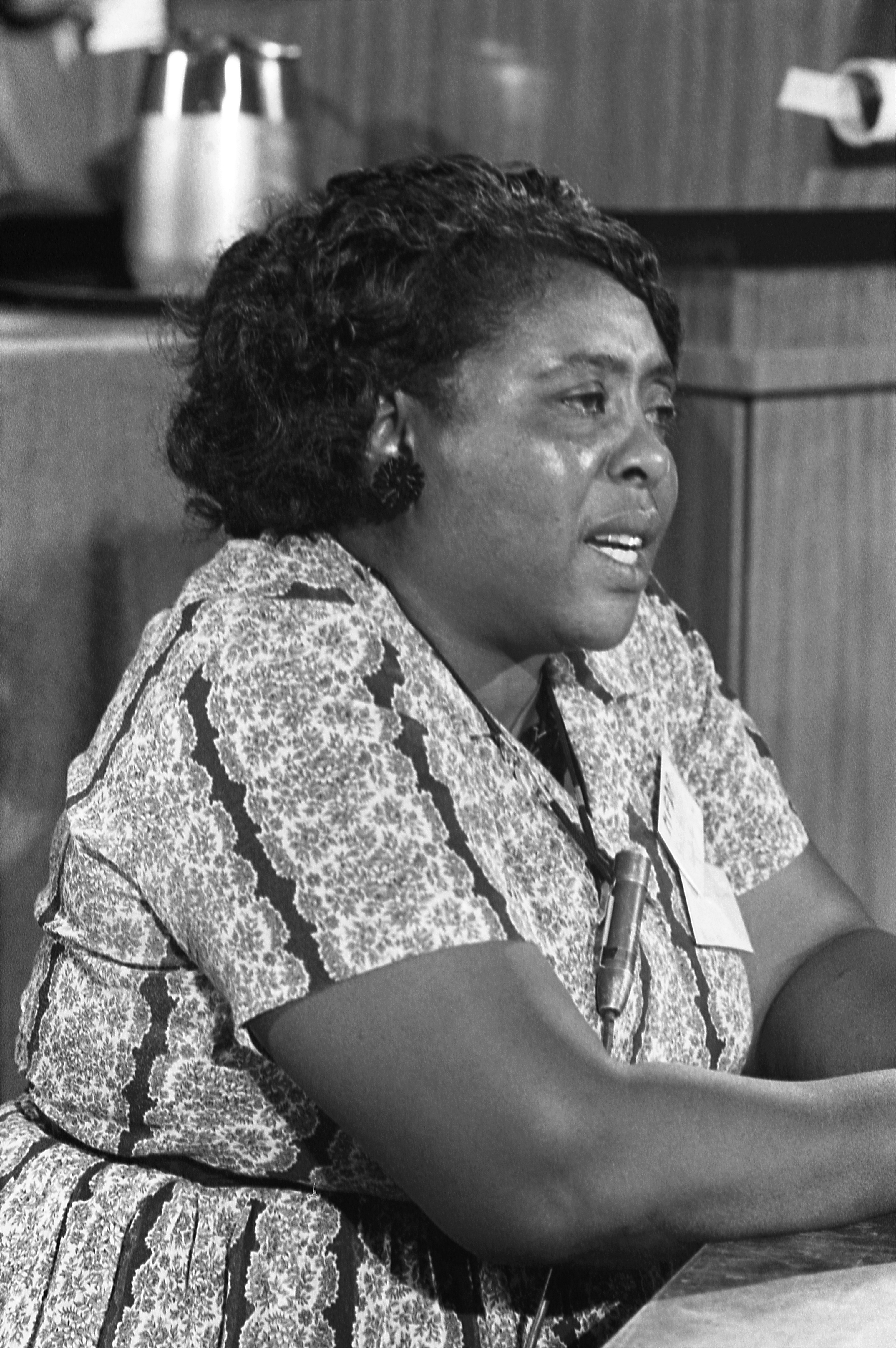 Fannie Lou Hamer photo