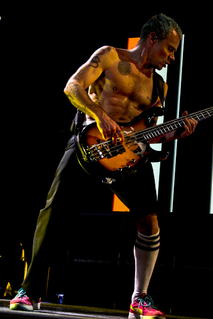 Flea photo