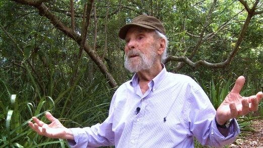 Frans Krajcberg photo
