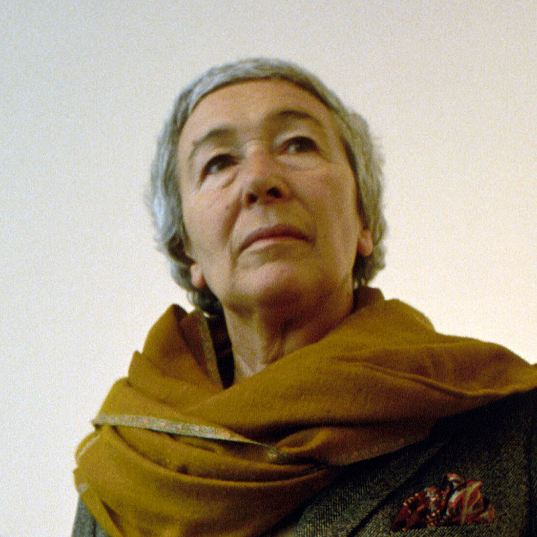 Gae Aulenti photo
