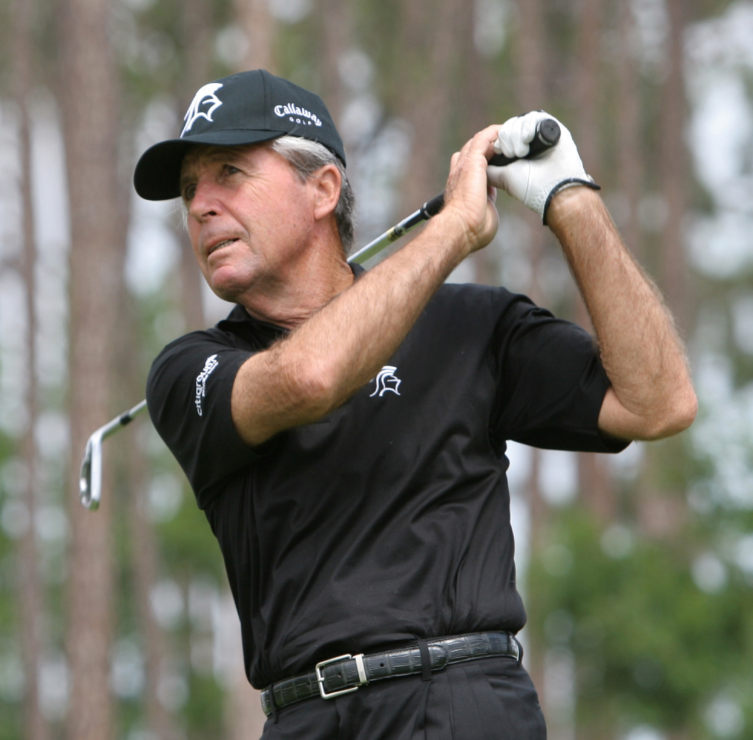 Gary Player photo