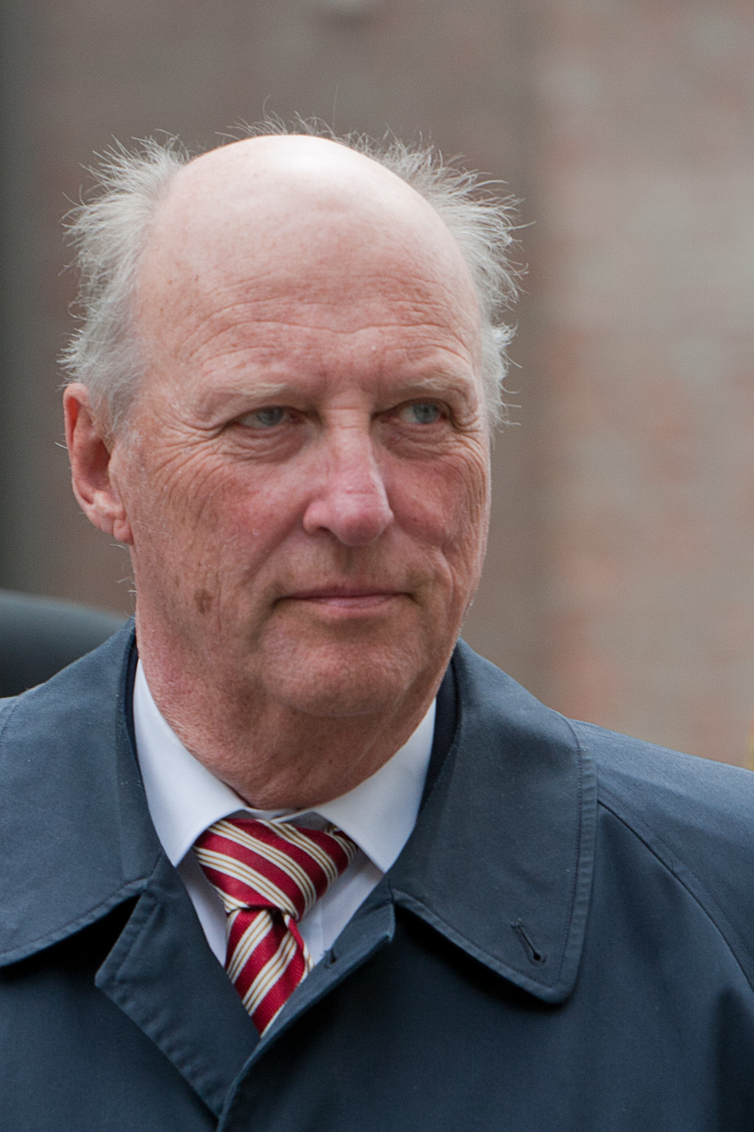 Harald V da Noruega photo