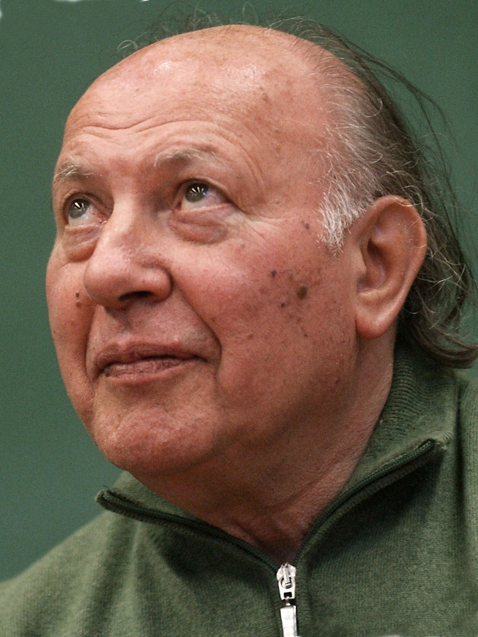 Imre Kertész photo