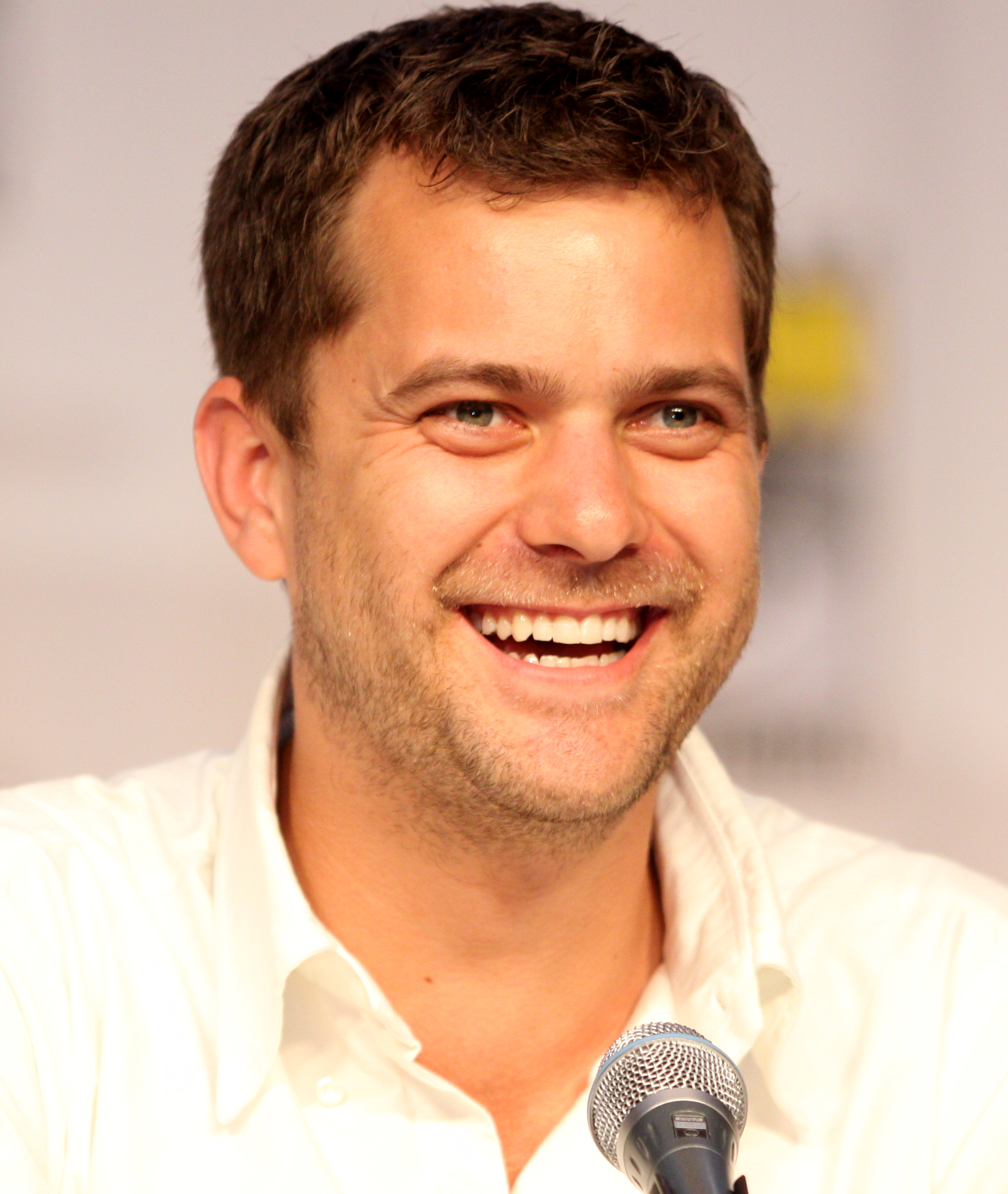 Joshua Jackson photo