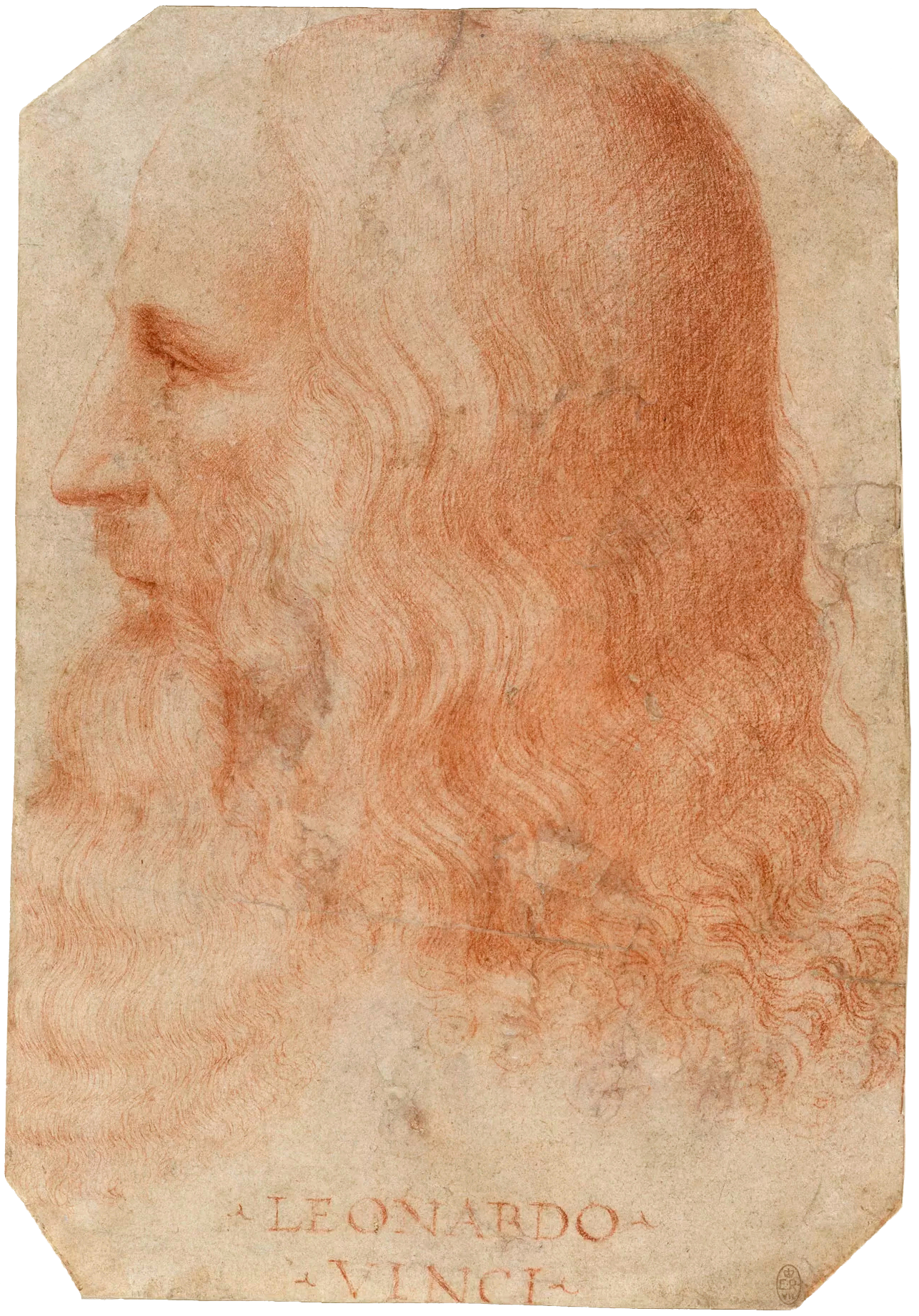 Leonardo Da Vinci photo