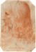 Leonardo Da Vinci photo