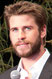 Liam Hemsworth photo