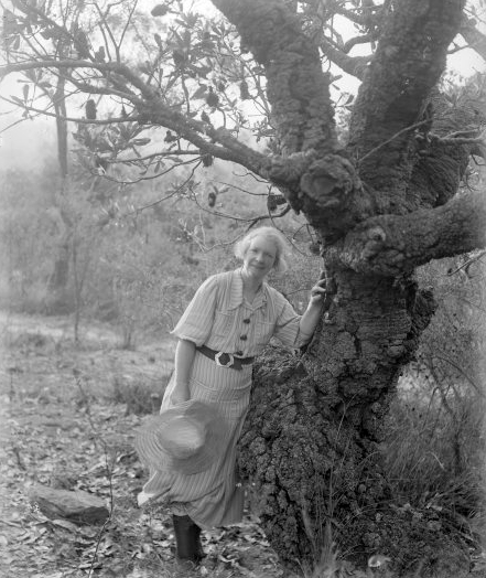 Margaret Preston photo