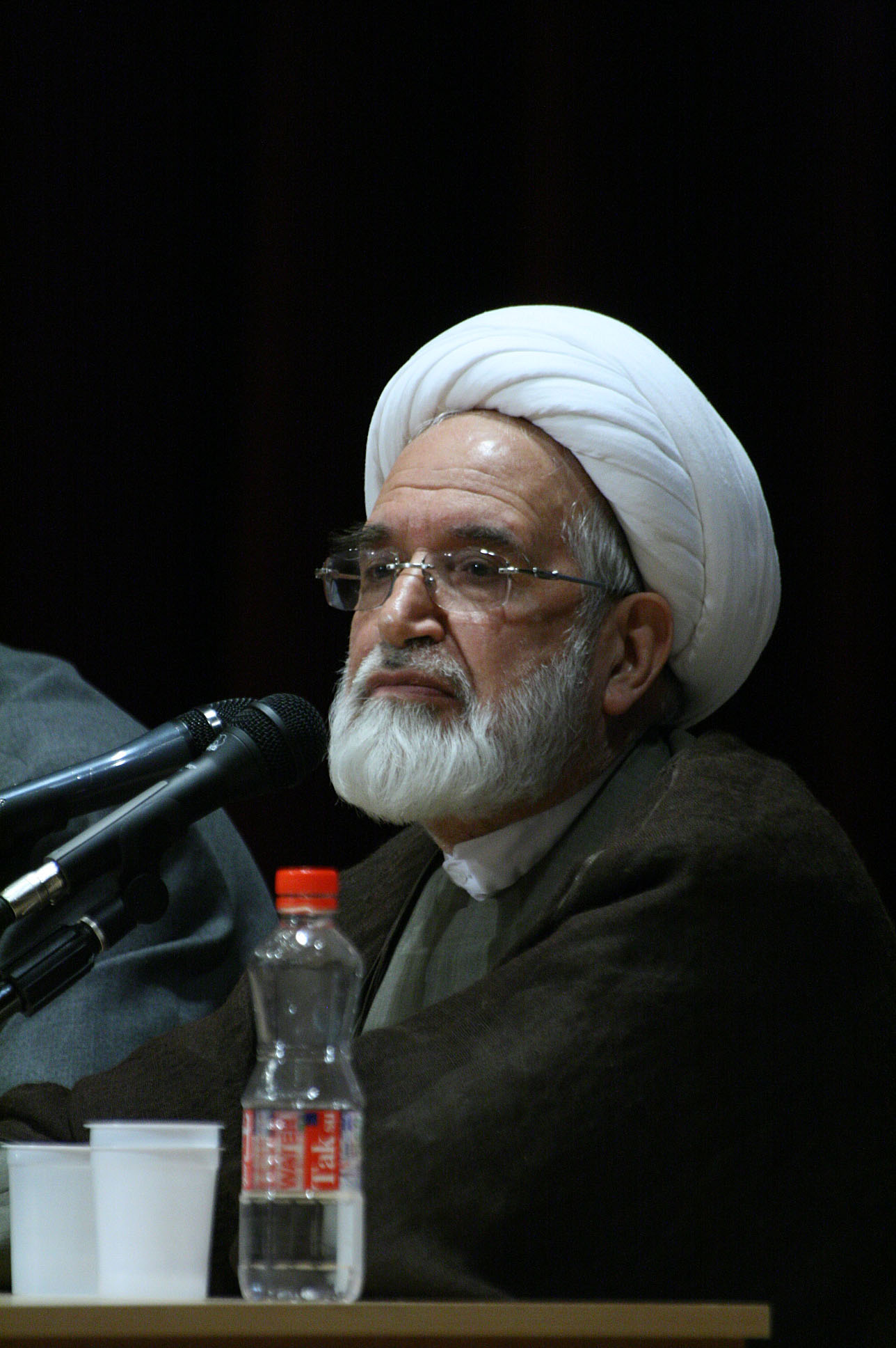 Mehdi Karroubi photo