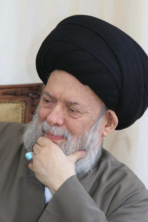 Mohamed Hussein Fadlalah photo