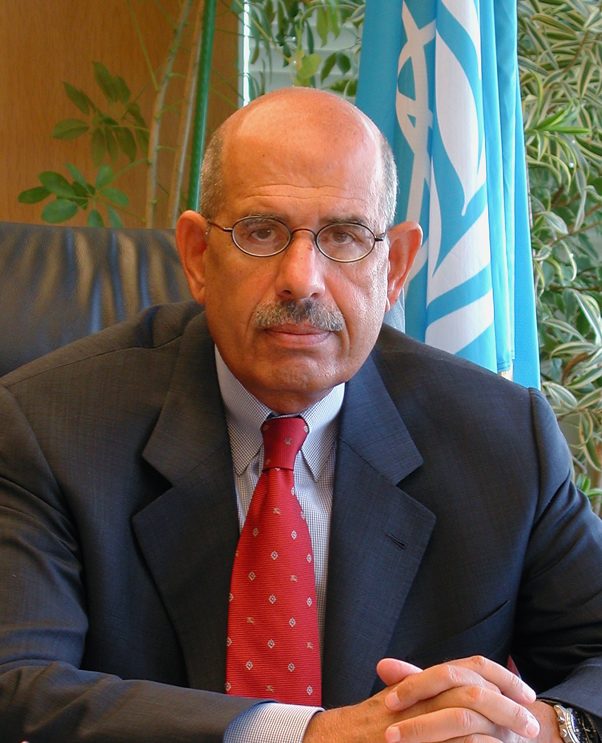 Mohamed ElBaradei photo