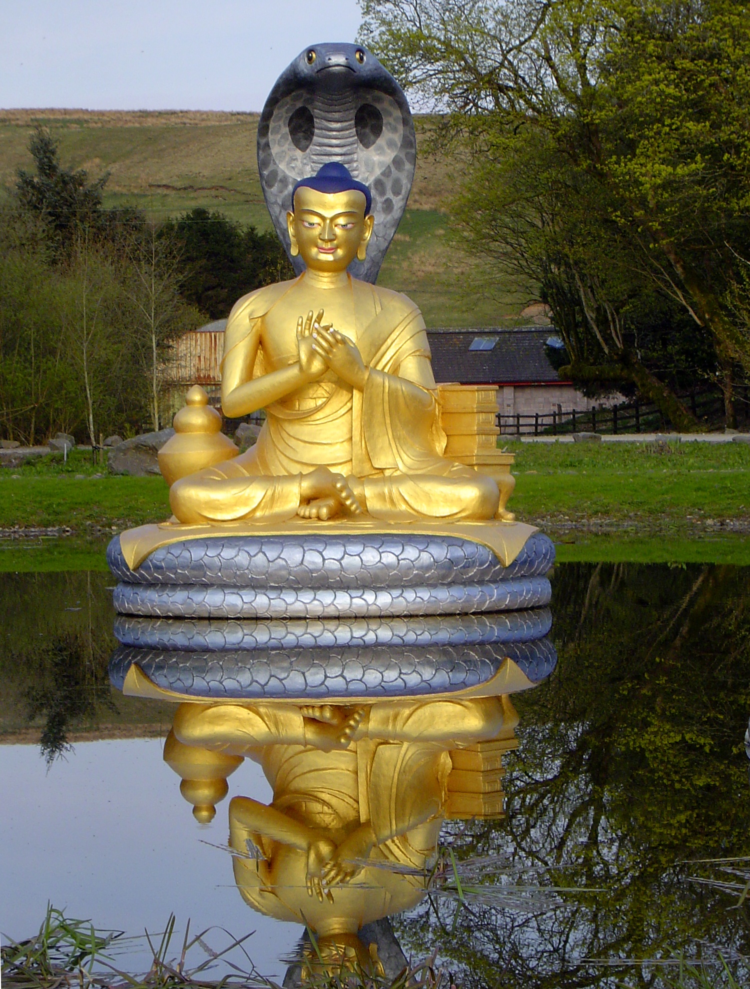 Nagarjuna photo
