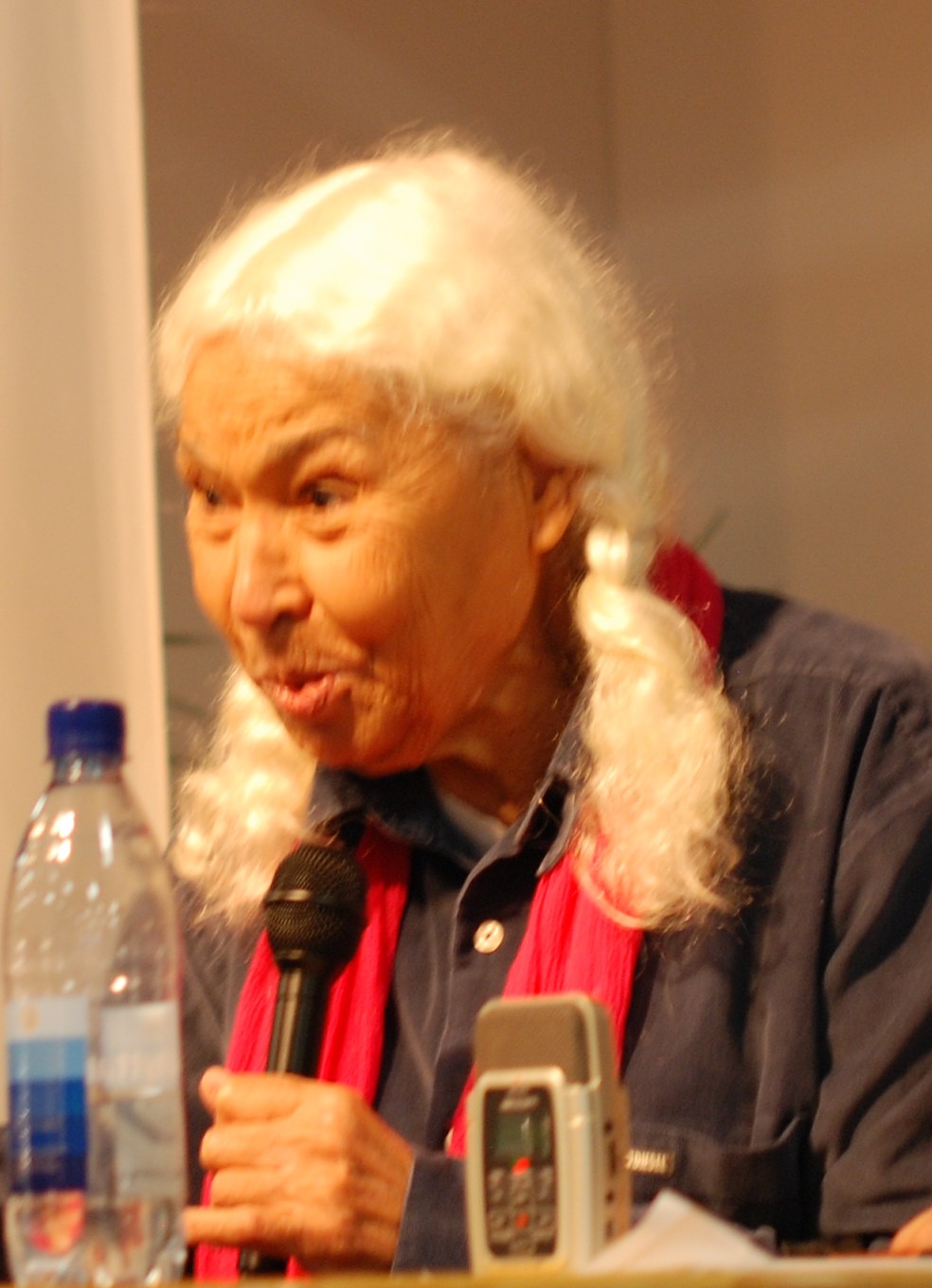 Nawal al-Sa'dawi photo