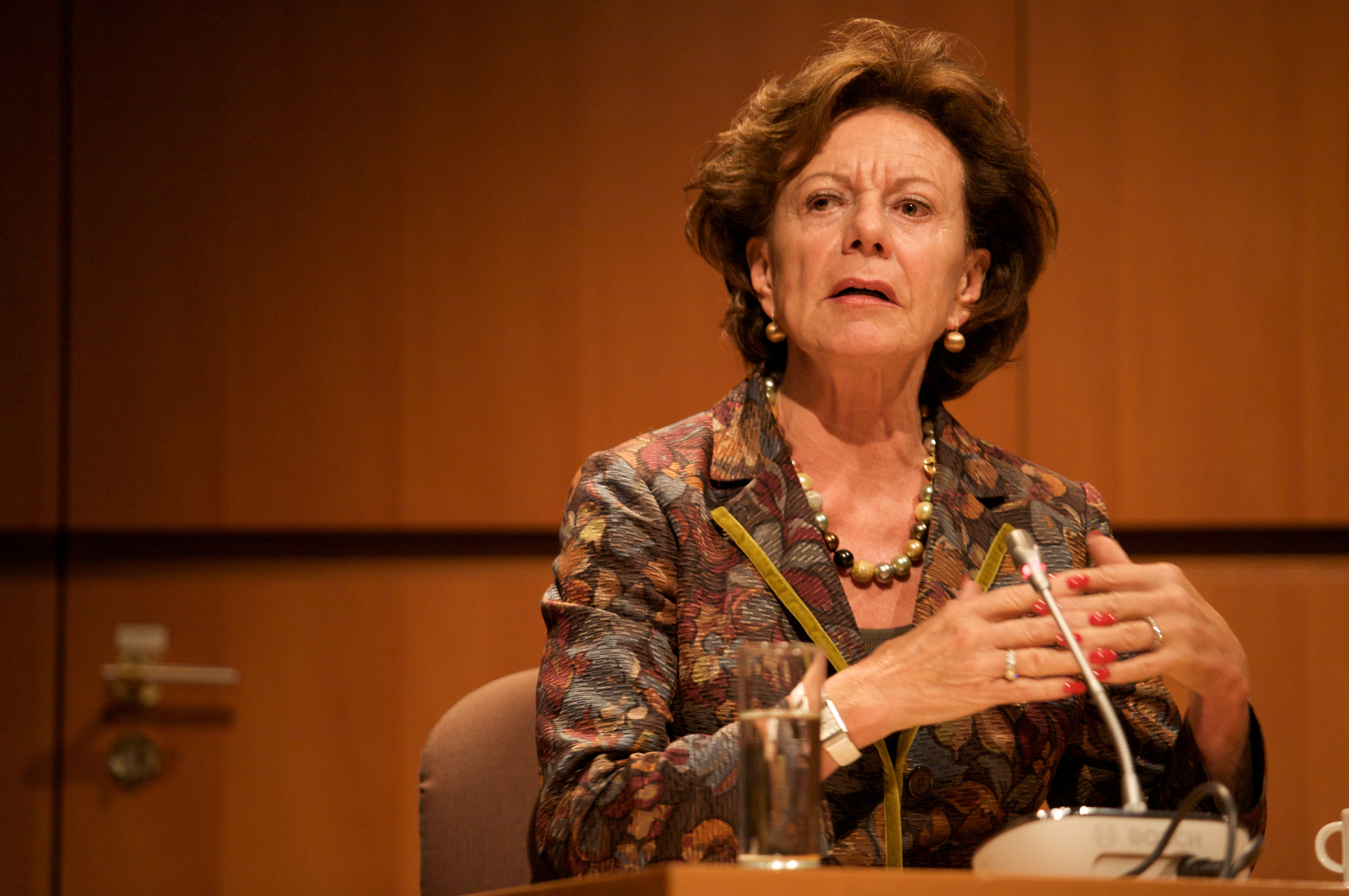 Neelie Kroes photo