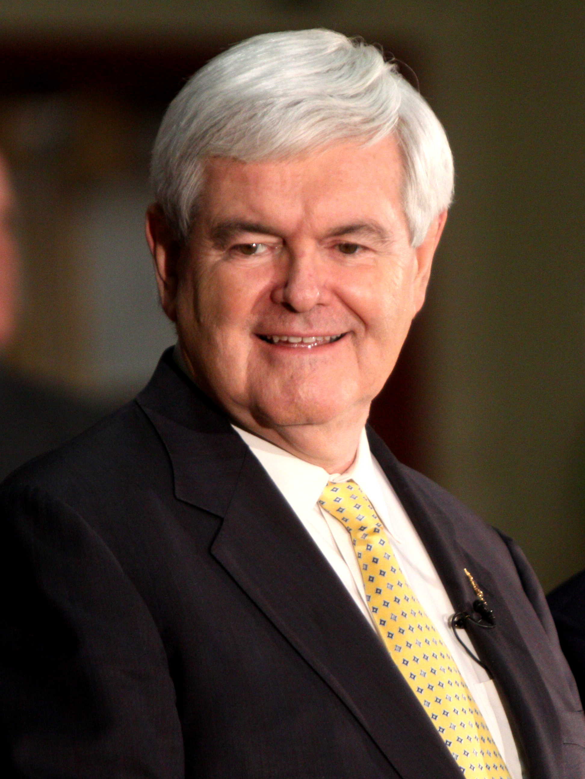 Newt Gingrich photo