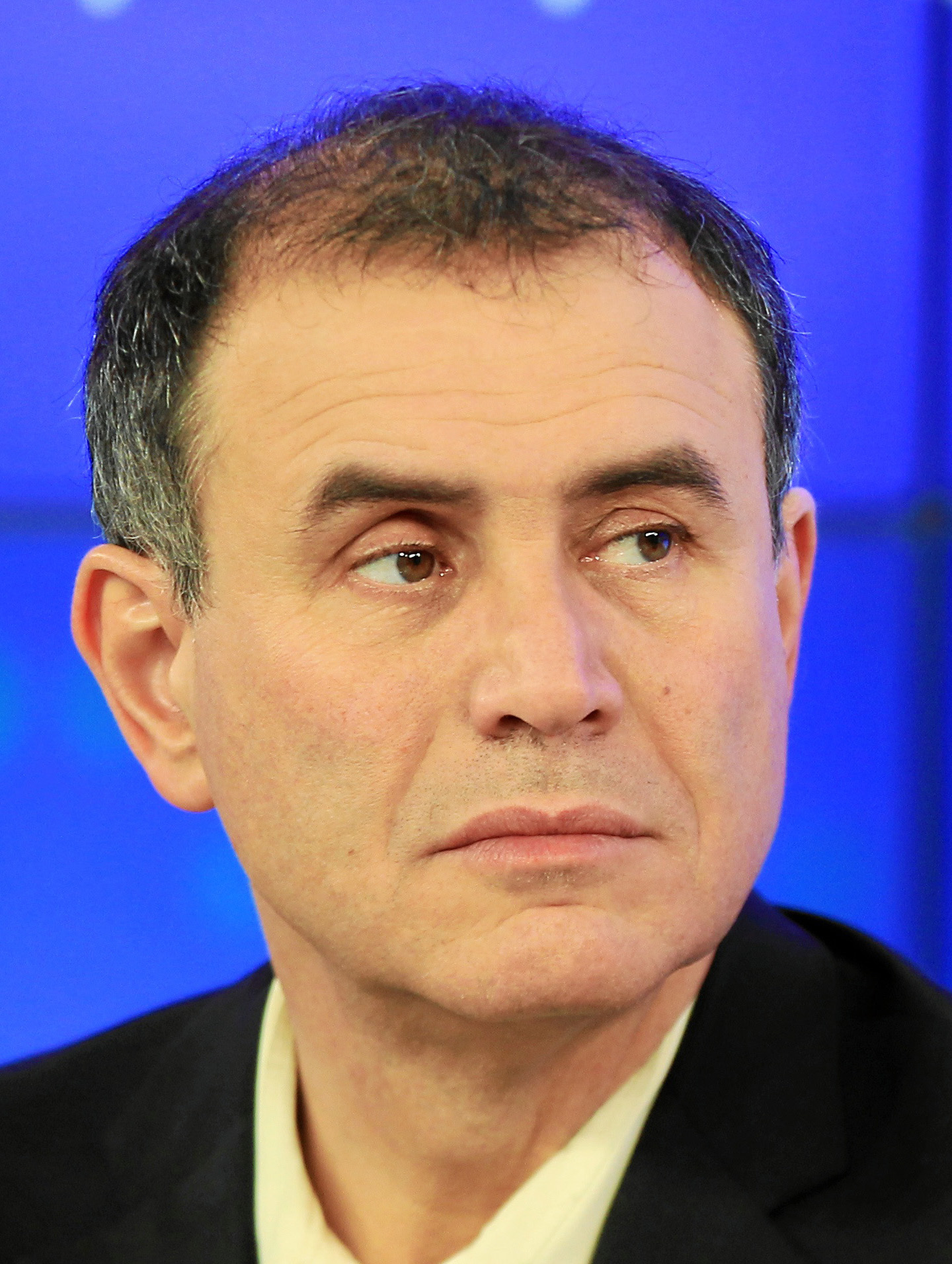 Nouriel Roubini photo
