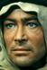Peter O'Toole photo