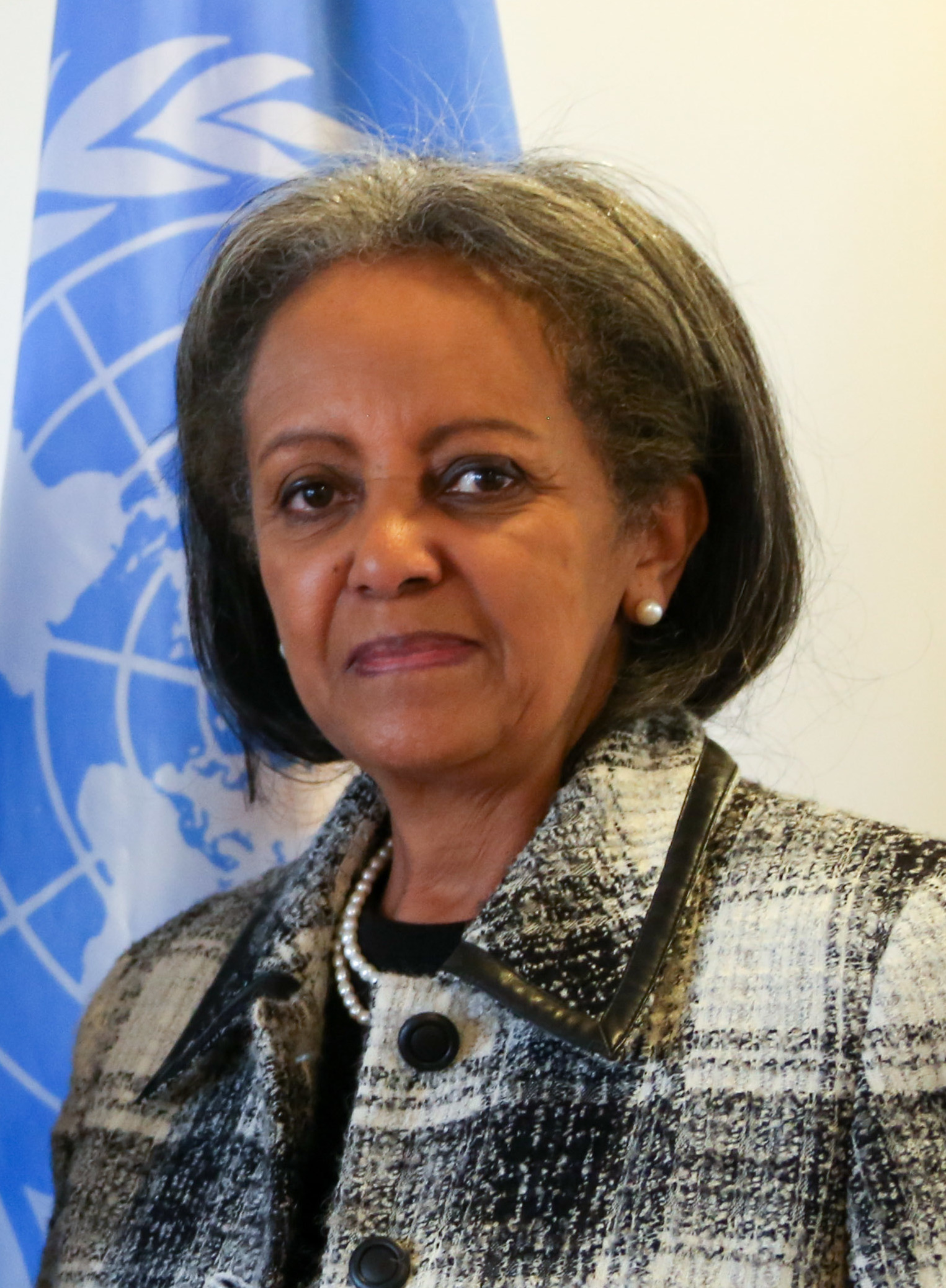 Sahle-Work Zewde photo