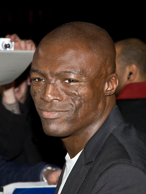 Seal photo