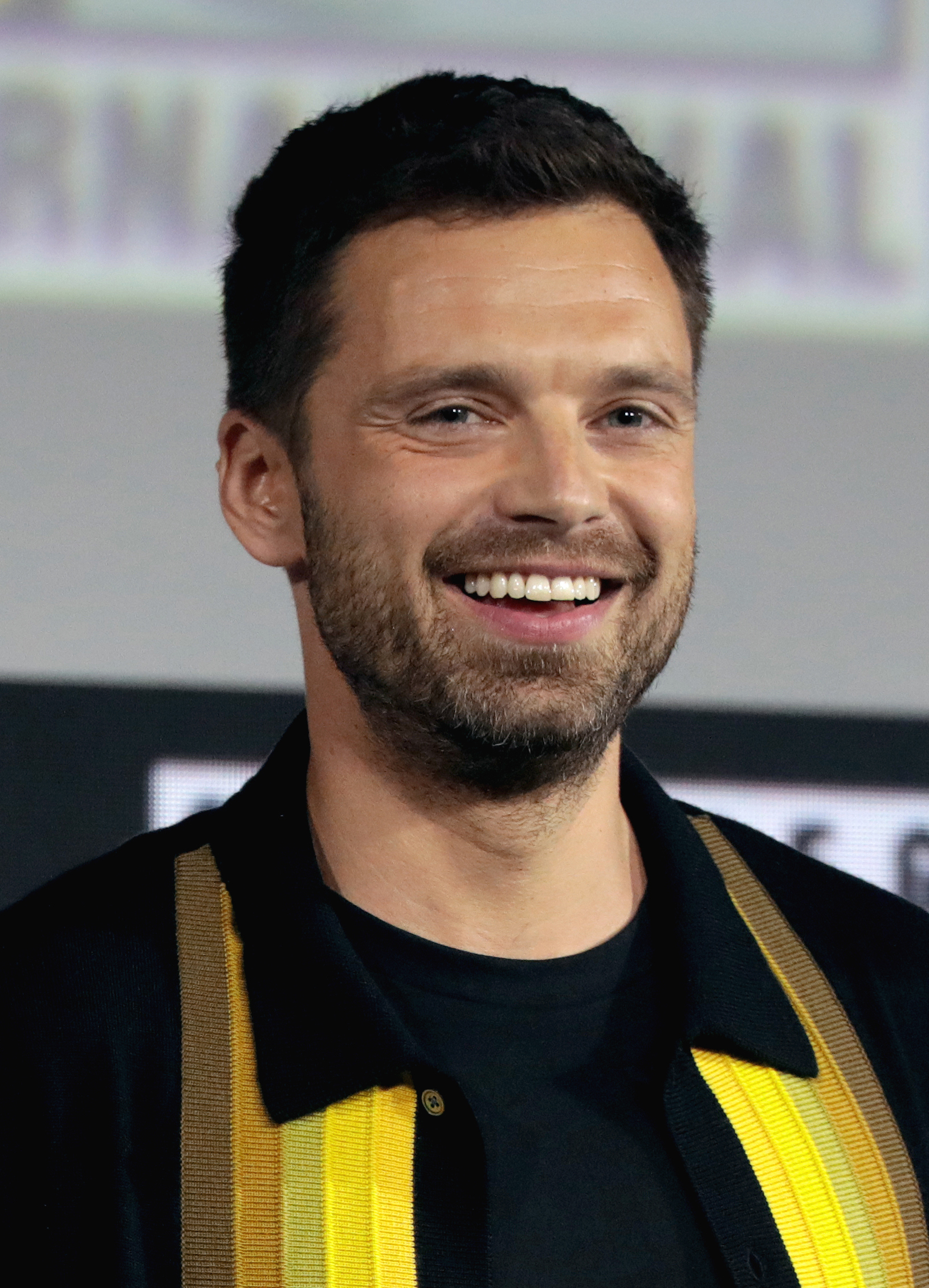 Sebastian Stan photo