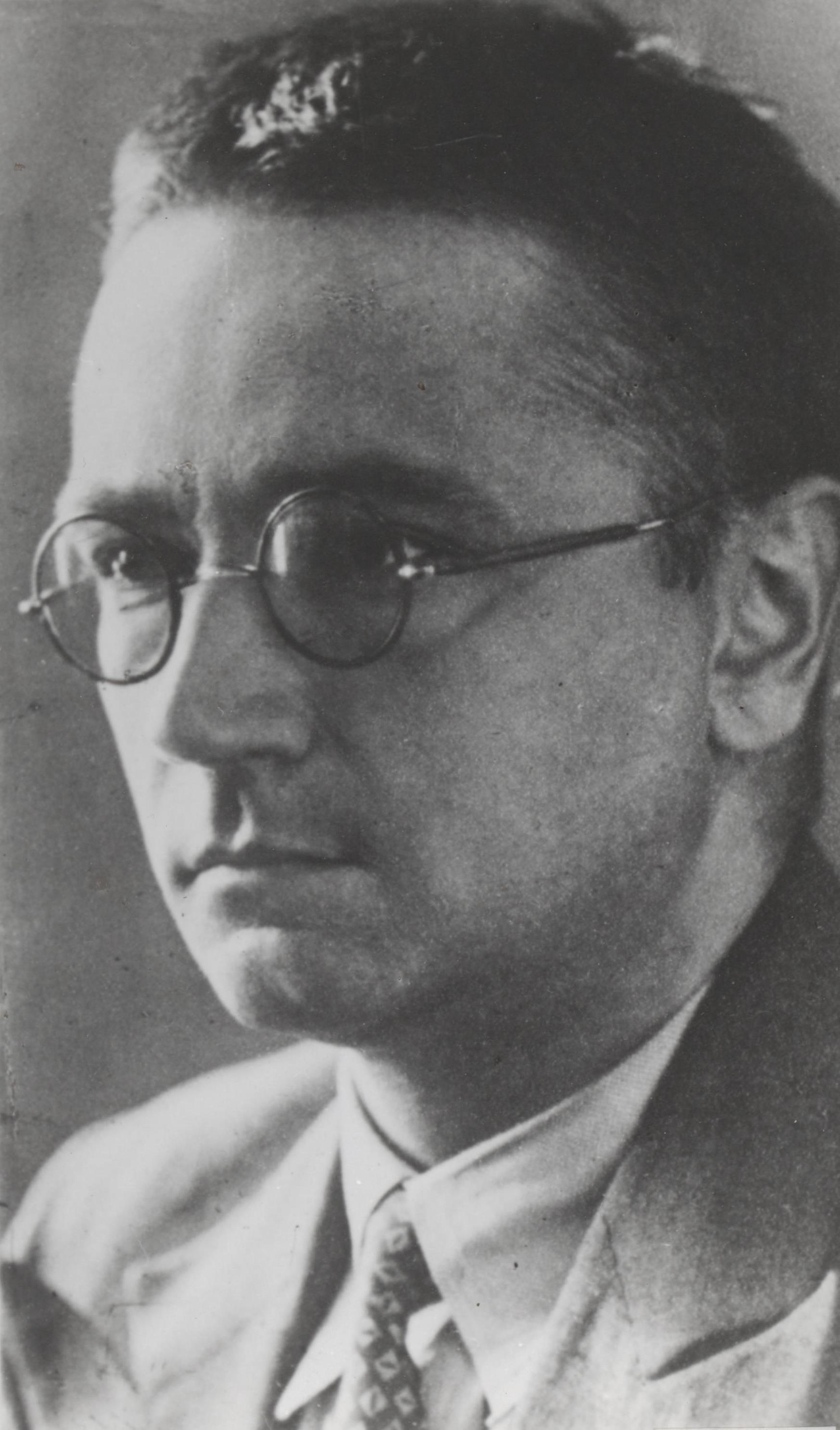 Simon Vestdijk photo