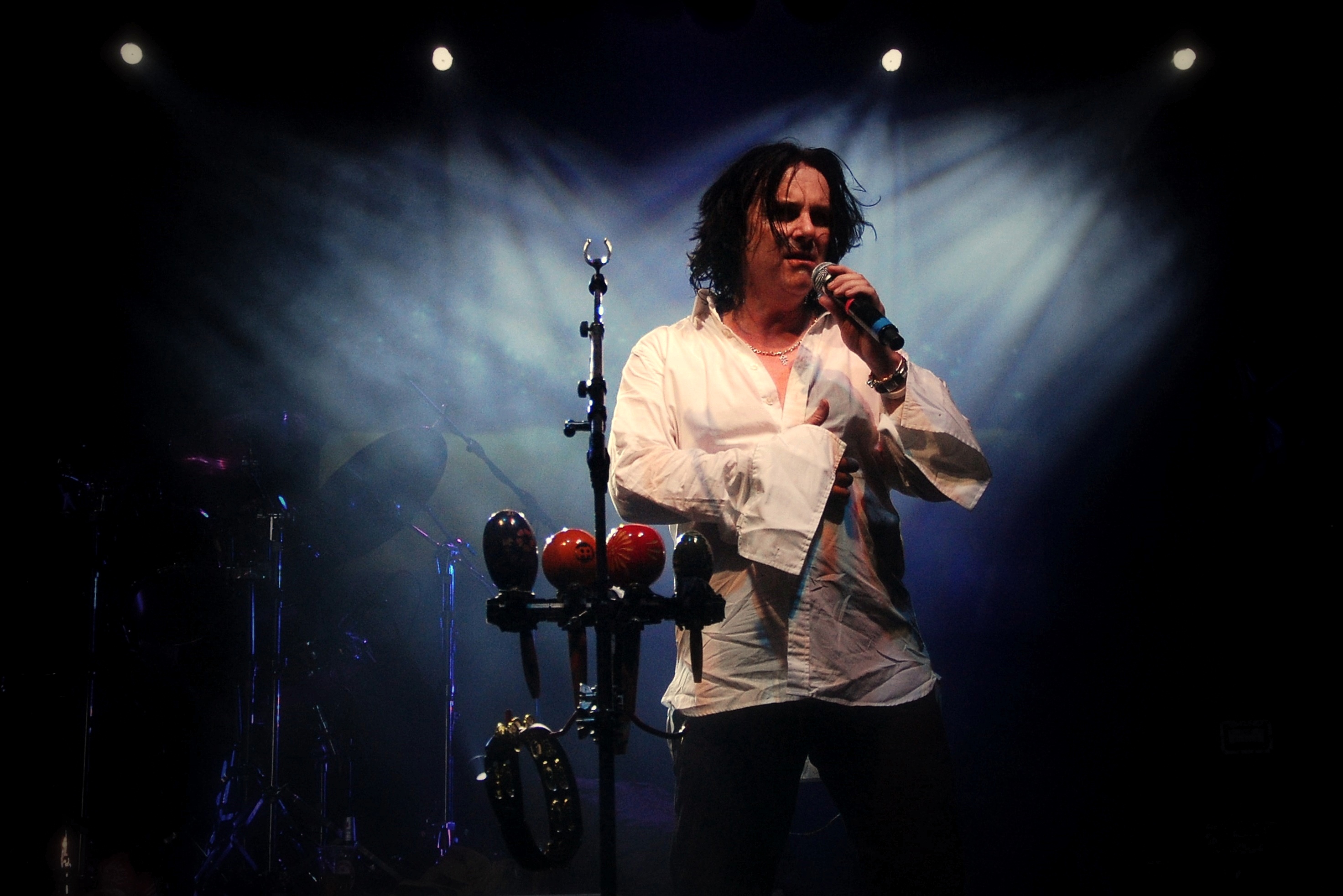 Steve Hogarth photo