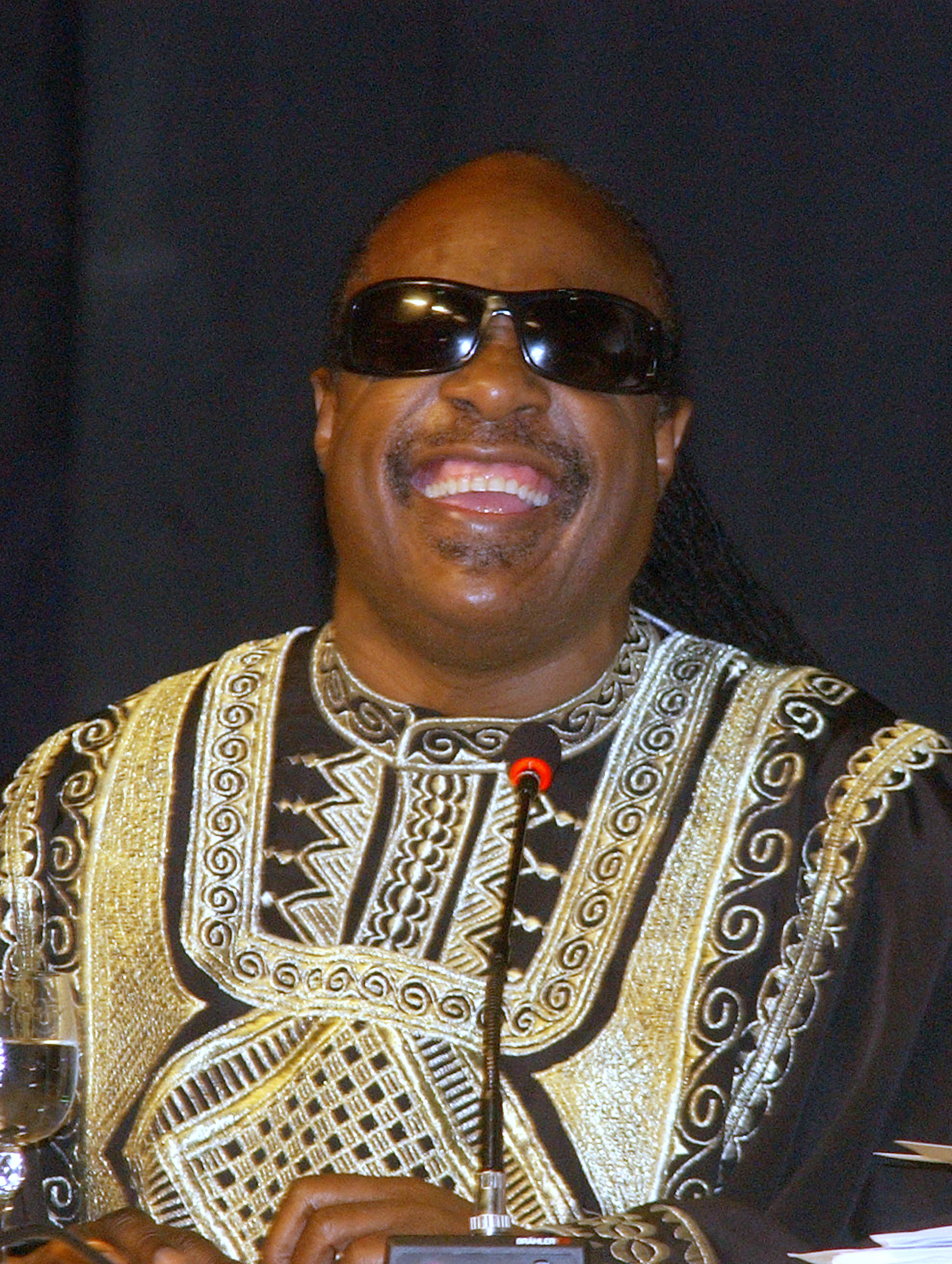 Stevie Wonder photo