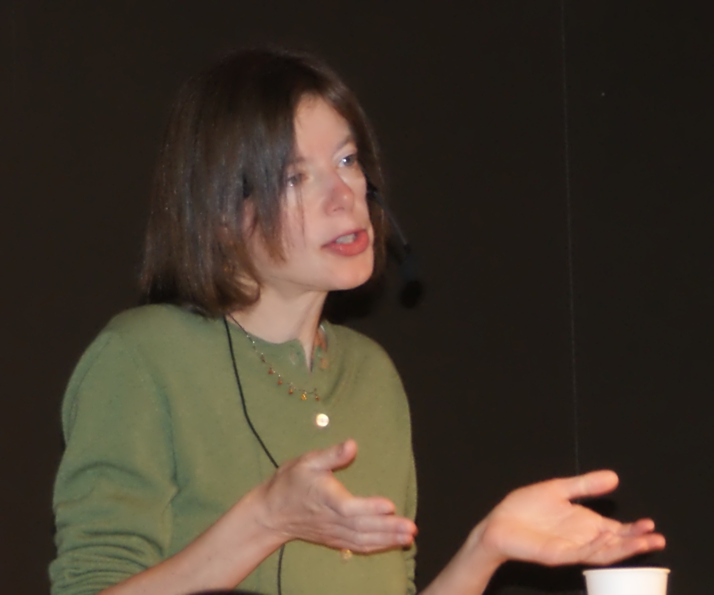 Susan Faludi photo