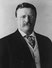 Theodore Roosevelt photo