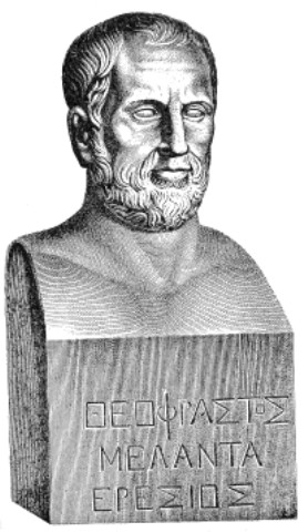 Teofrasto photo