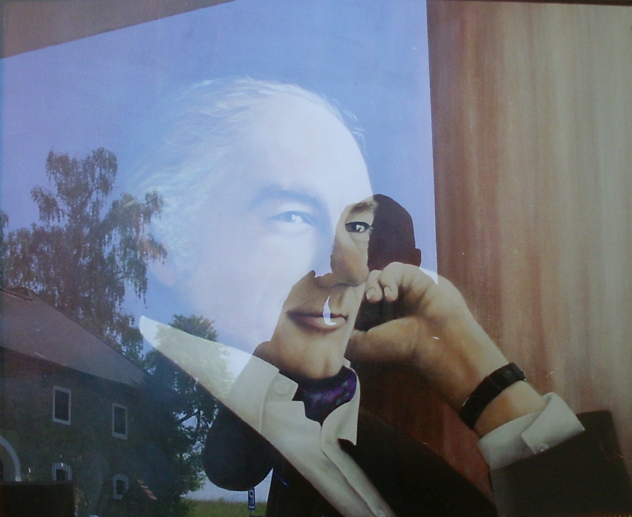 Thomas Bernhard photo