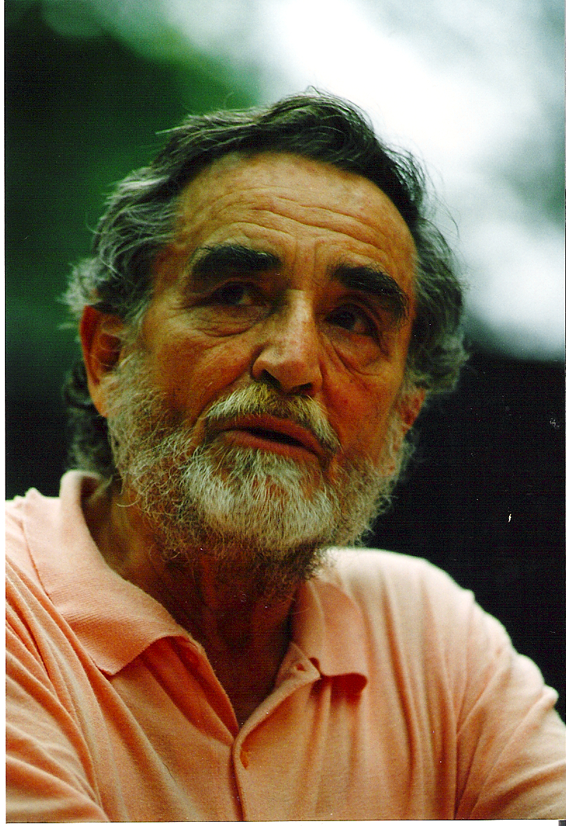 Vittorio Gassman photo