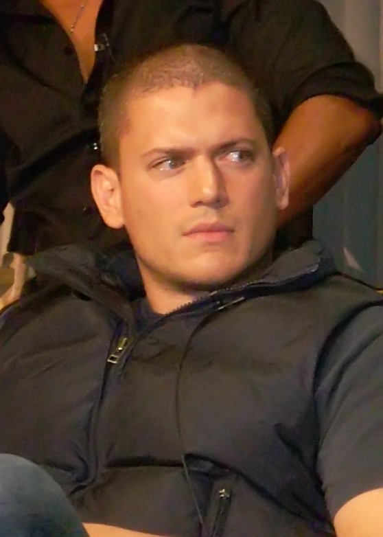 Wentworth Miller photo