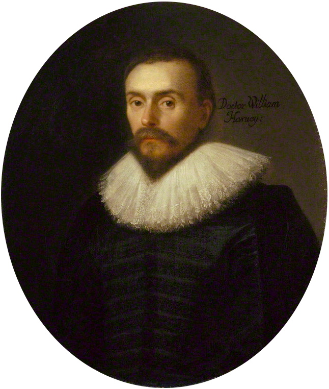 William Harvey photo