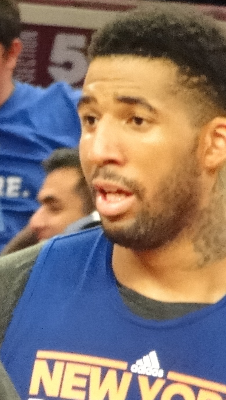 Wilson Chandler photo