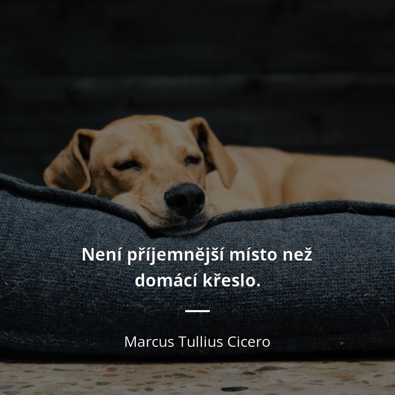Marcus Tullius Cicero citar: „Není příjemnější místo než domácí křeslo.“