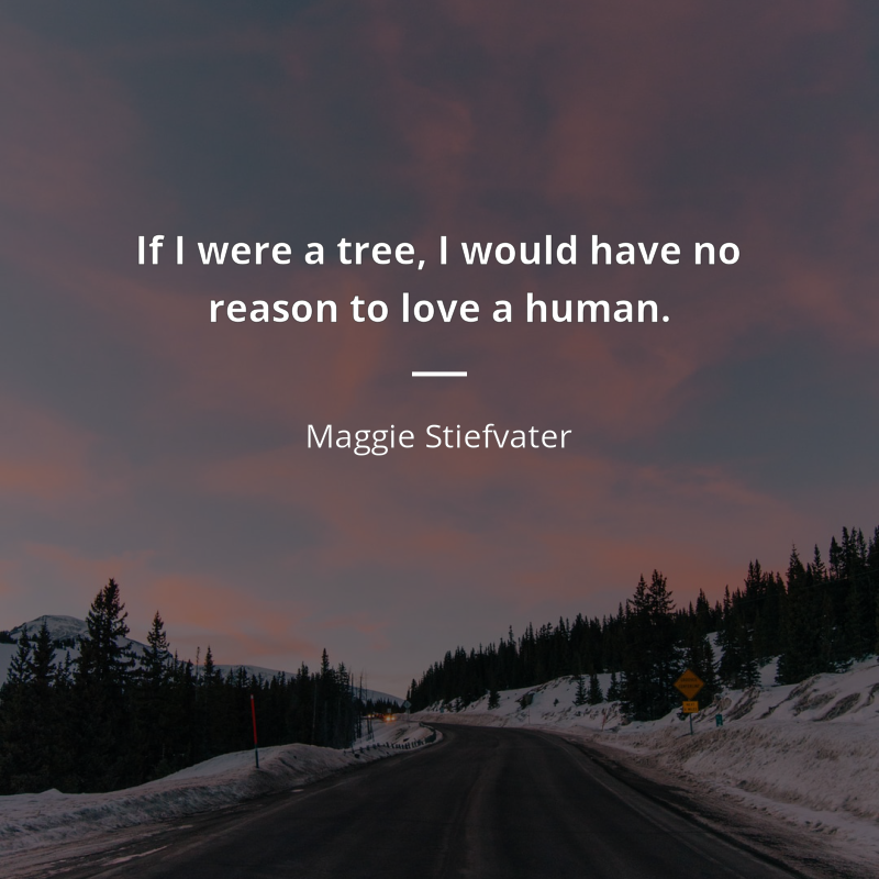 Maggie Stiefvater citar: “If I were a tree, I would have no reason to love a human.”