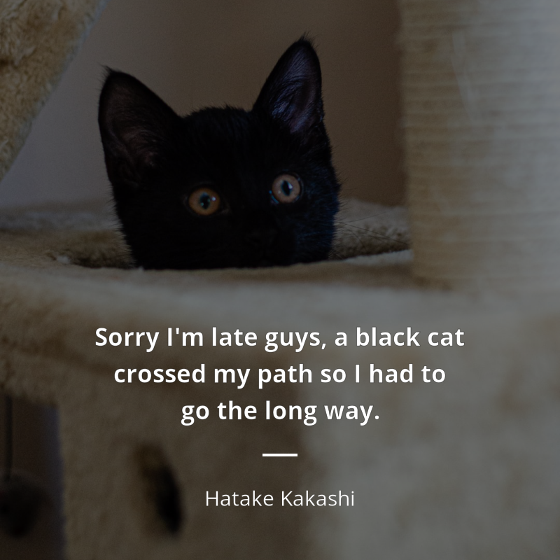 Hatake Kakashi citar: “Sorry I'm late guys, a black cat crossed my path so I had to go the long way.”
